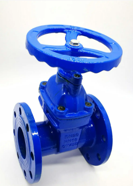 給大家講一下什么是彈性座封閘閥？