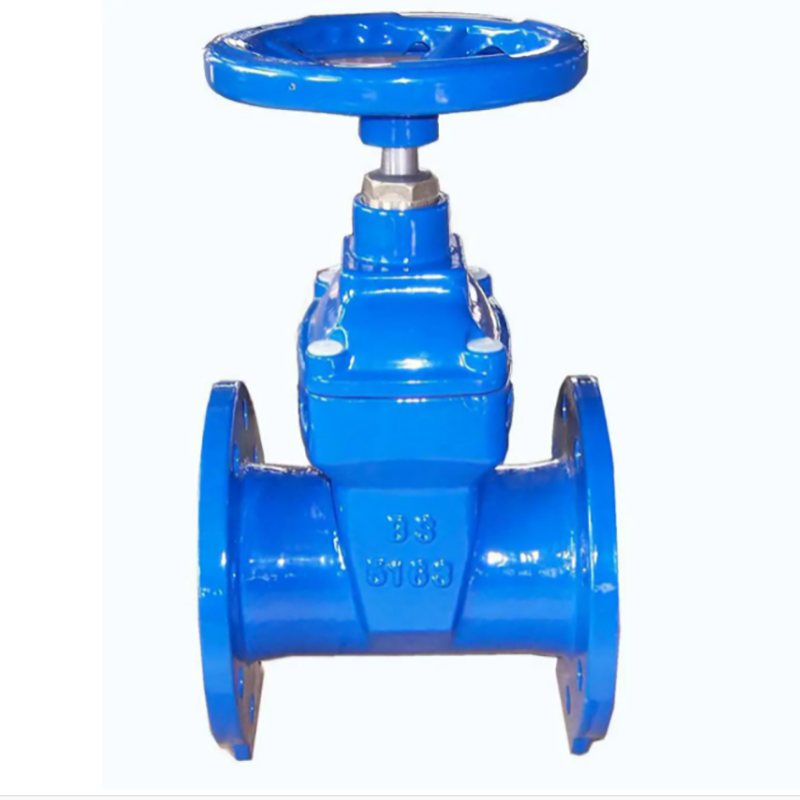 法蘭金屬密封閘閥的相關(guān)知識(shí)